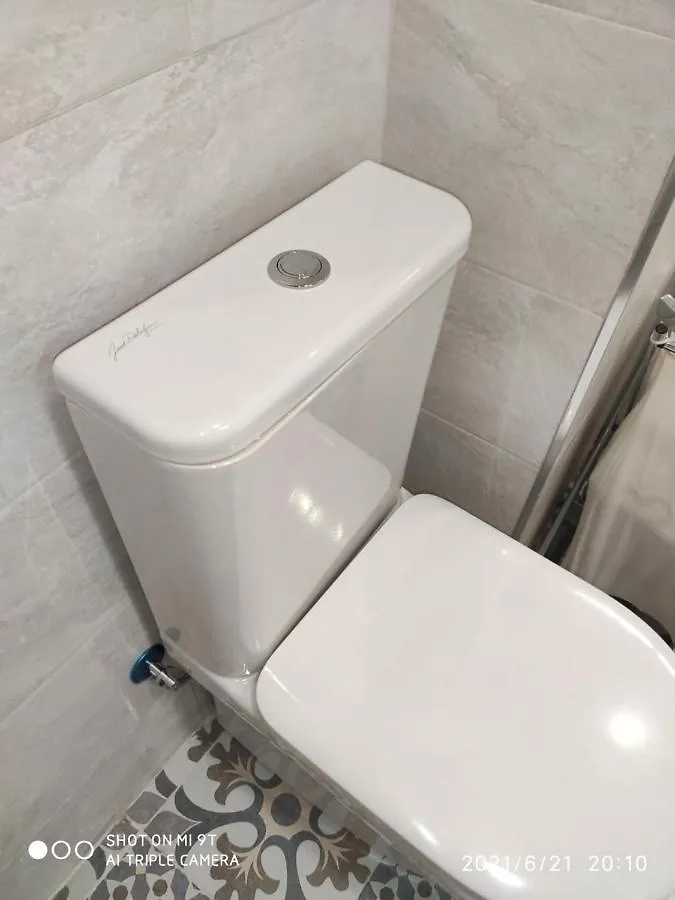 Vialia 2 Centro Apartment Malaga